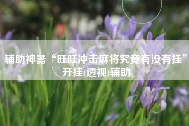 辅助神器“旺旺冲击麻将究竟有没有挂”开挂(透视)辅助