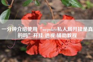 一分钟介绍使用“wepoker私人局开挂是真的吗	”开挂(透视)辅助教程