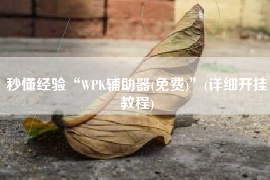 秒懂经验“WPK辅助器(免费)	”(详细开挂教程)