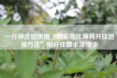 一分钟介绍使用“微乐浙江麻将开挂透视方法”附开挂脚本详细步