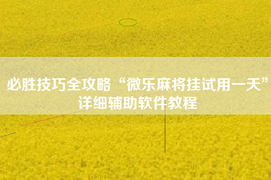 必胜技巧全攻略“微乐麻将挂试用一天”详细辅助软件教程