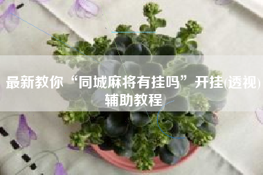 最新教你“同城麻将有挂吗	”开挂(透视)辅助教程