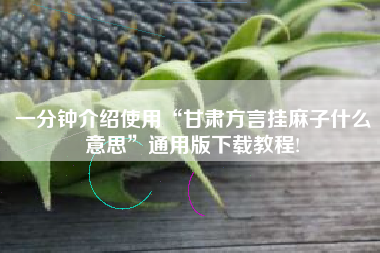 一分钟介绍使用“甘肃方言挂麻子什么意思”通用版下载教程!