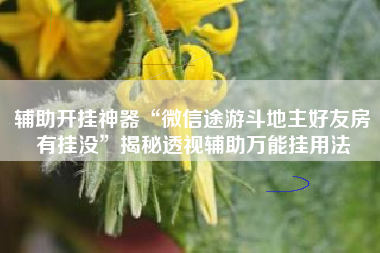 辅助开挂神器“微信途游斗地主好友房有挂没”揭秘透视辅助万能挂用法