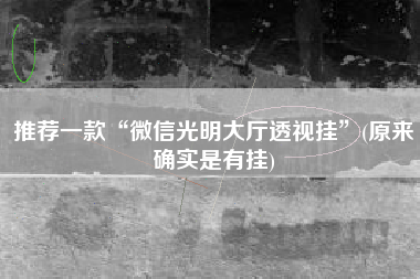 推荐一款“微信光明大厅透视挂”(原来确实是有挂)