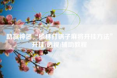 助赢神器“榆林打锅子麻将开挂方法	”开挂(透视)辅助教程