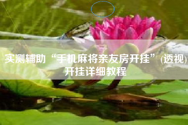 实测辅助“手机麻将亲友房开挂”(透视)开挂详细教程