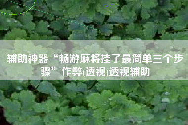 辅助神器“畅游麻将挂了最简单三个步骤”作弊(透视)透视辅助