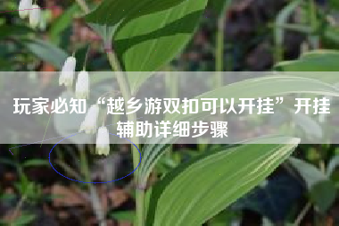 玩家必知“越乡游双扣可以开挂	”开挂辅助详细步骤