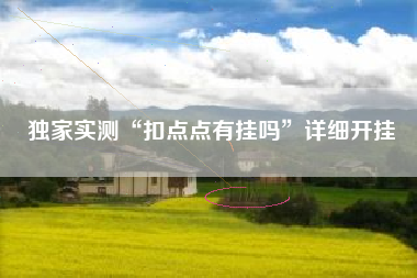 独家实测“扣点点有挂吗”详细开挂