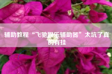 辅助教程“飞驰娱乐辅助器”太坑了真的有挂