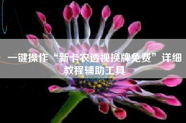 一键操作“新卡农透视换牌免费	”详细教程辅助工具