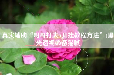 真实辅助“哥哥打大A开挂教程方法”(曝光透视必备猫腻