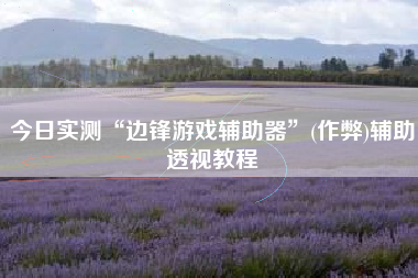 今日实测“边锋游戏辅助器	”(作弊)辅助透视教程