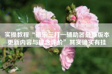 实操教程“微乐三打一辅助器最新版本更新内容与理念评价”其实确实有挂