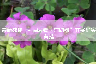 最新教你“wepoker看牌辅助器”其实确实有挂