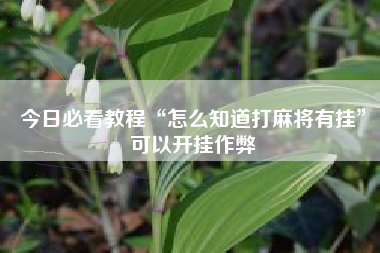 今日必看教程“怎么知道打麻将有挂”可以开挂作弊