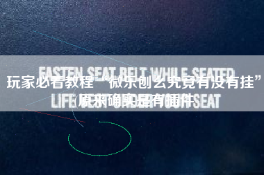 玩家必看教程“微乐刨幺究竟有没有挂	”(原来确实是有插件