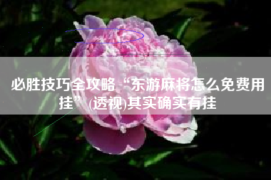 必胜技巧全攻略“东游麻将怎么免费用挂”(透视)其实确实有挂