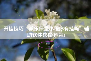 开挂技巧“微乐保皇小程序有挂吗”辅助软件教程(透视)