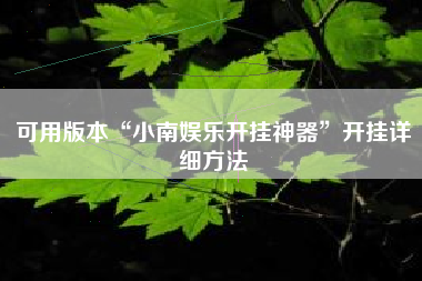 可用版本“小南娱乐开挂神器”开挂详细方法