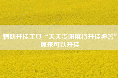 辅助开挂工具“天天贵阳麻将开挂神器”原来可以开挂