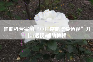 辅助科普实测“小程序跑得快透视”开挂(透视)辅助教程