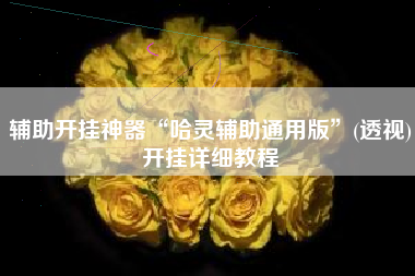 辅助开挂神器“哈灵辅助通用版”(透视)开挂详细教程