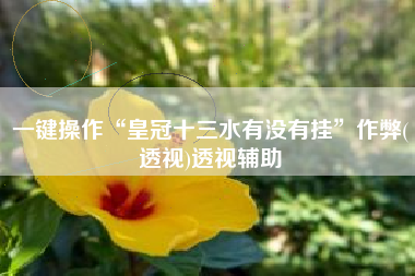 一键操作“皇冠十三水有没有挂”作弊(透视)透视辅助