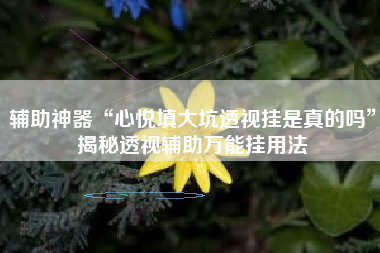 辅助神器“心悦填大坑透视挂是真的吗	”揭秘透视辅助万能挂用法