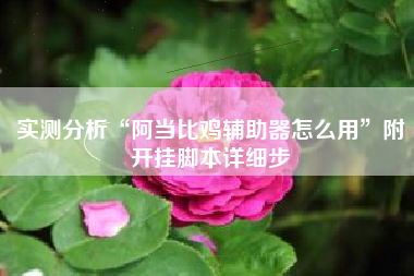 实测分析“阿当比鸡辅助器怎么用”附开挂脚本详细步