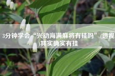 3分钟学会“兴动海满麻将有挂吗”(透视)其实确实有挂