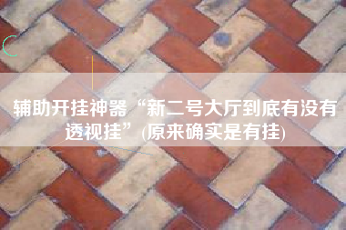 辅助开挂神器“新二号大厅到底有没有透视挂”(原来确实是有挂)