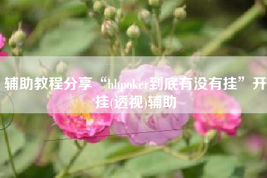 辅助教程分享“hhpoker到底有没有挂”开挂(透视)辅助