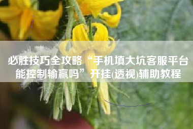 必胜技巧全攻略“手机填大坑客服平台能控制输赢吗”开挂(透视)辅助教程