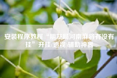 安装程序教程“朋友局河南麻将有没有挂”开挂(透视)辅助神器