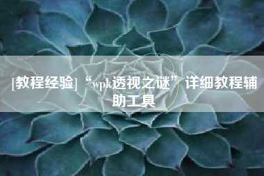 [教程经验]“wpk透视之谜	”详细教程辅助工具