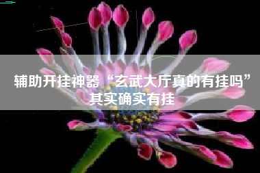 辅助开挂神器“玄武大厅真的有挂吗”其实确实有挂