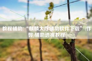 教程辅助!“麒麟大厅辅助软件下载	”(作弊)辅助透视教程