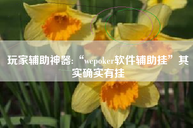 玩家辅助神器:“wepoker软件辅助挂	”其实确实有挂
