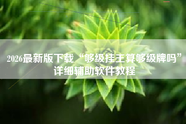 2026最新版下载“够级挂王算够级牌吗	”详细辅助软件教程