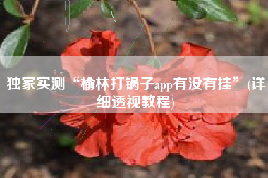 独家实测“榆林打锅子app有没有挂	”(详细透视教程)