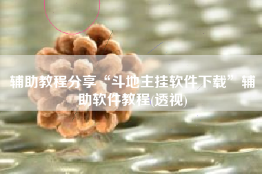 辅助教程分享“斗地主挂软件下载”辅助软件教程(透视)