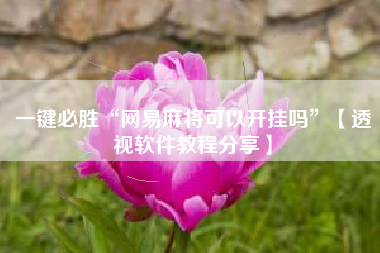 一键必胜“网易麻将可以开挂吗	”【透视软件教程分享】