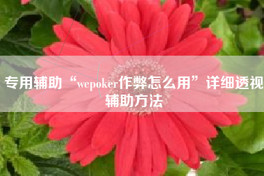 专用辅助“wepoker作弊怎么用”详细透视辅助方法