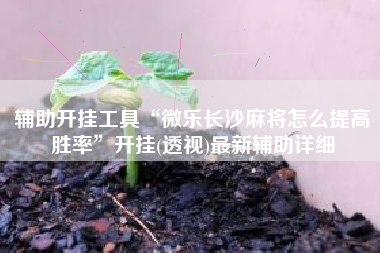 辅助开挂工具“微乐长沙麻将怎么提高胜率”开挂(透视)最新辅助详细