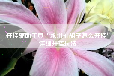 开挂辅助工具“永州扯胡子怎么开挂	”详细开挂玩法