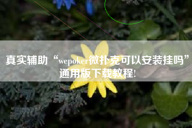 真实辅助“wepoker微扑克可以安装挂吗”通用版下载教程!