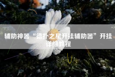 辅助神器“德扑之星开挂辅助器	”开挂详细教程