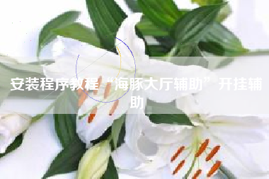 安装程序教程“海豚大厅辅助	”开挂辅助